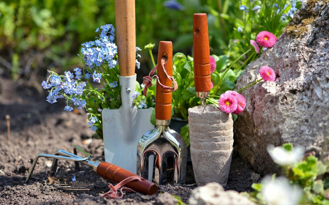 Essential Gardening Tools: 7 Must-Haves for Every Gardener