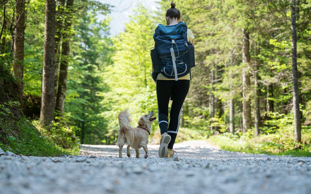 Exploring Outdoor Adventures: 5 Activities to Share with Your Furry Friend